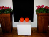 salontafel1